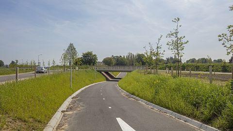 Rondweg Voorst